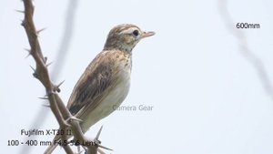 Fujifilm X-T30 II sample video with Fujifilm XF 100-400mm F4.5-5.6 Lens , 4k video test xt30 II