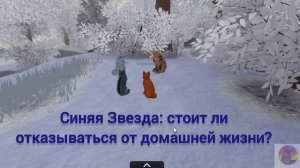 Коты воители Стань Диким. II Глава. ROBLOX.