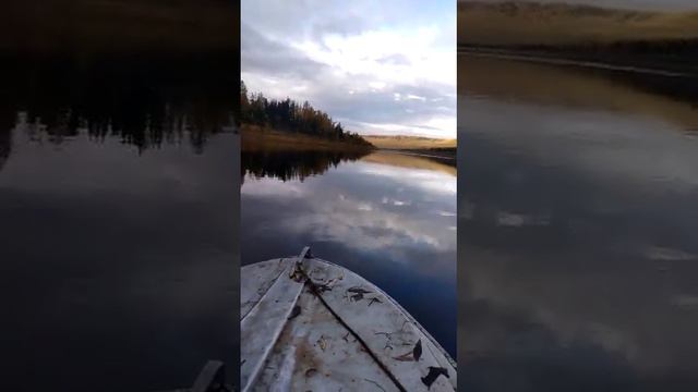 охота на лося смотреть онлайн