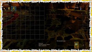 ????????❓??⏹?⚙️⛓️?? Ты, 100% не знал ЭТОТ СЕКРЕТ, в Готике 2 ?