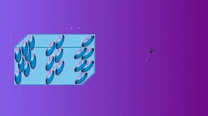 Жидкие кристаллы