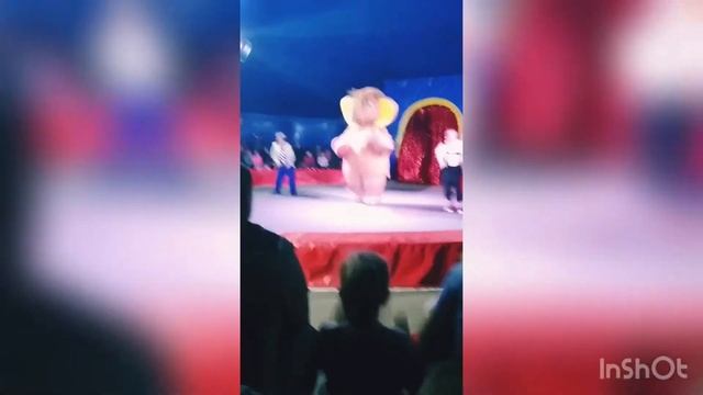 мамонты в наше время? веселия в цирке смотреть онлайн