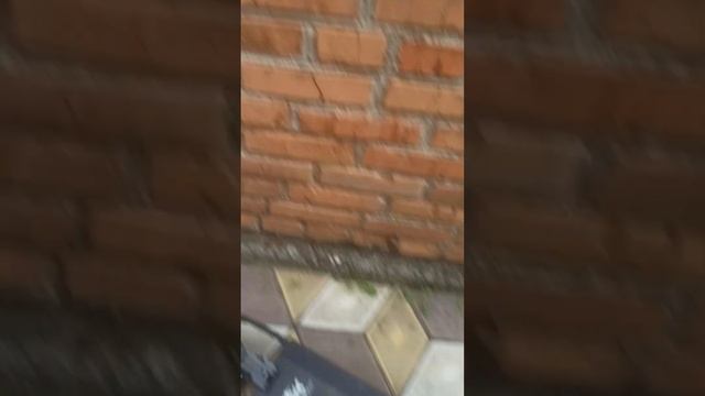 обзор на куго м2 смотреть онлайн