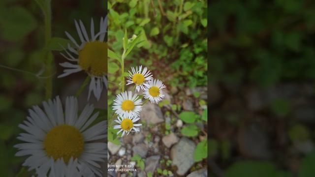 Красота природы Краснодарского края 🥰