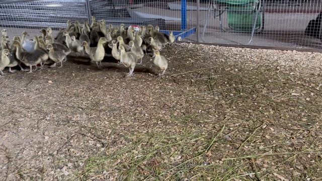 31-05-2023 смотреть онлайн