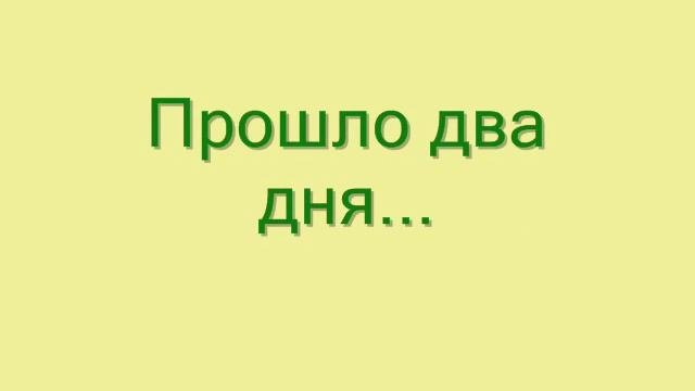 Проращивание семян огурцов на туалетной бумаге. 28.03.2016