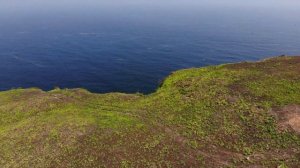 САЛАЛА: оманские тропики