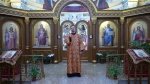 Прямая трансляция: Божественная литургия. Воскресенье 29 мая 2022.
