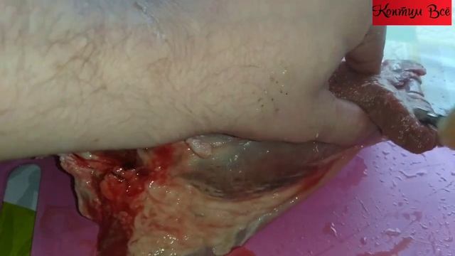 ?Как коптить косулю Ч 1. Дикая коза вкусно? смотреть онлайн