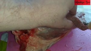 ?Как коптить косулю Ч 1. Дикая коза вкусно?