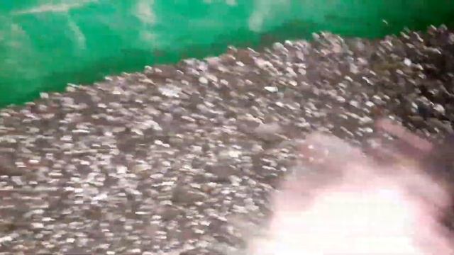 Пикируем помидоры обрабатывани превикуром. смотреть онлайн