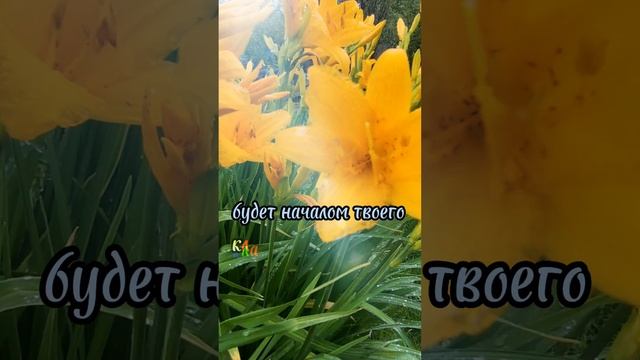 lv_0_20230609234042.mp4