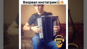 Папито на баяне