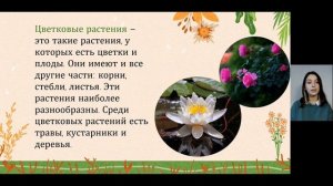 Видеоурок по теме "Разнообразие растений" 3 класс