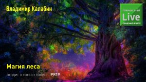 Медитация «Магия леса». Приглашение от Владимира Калабина