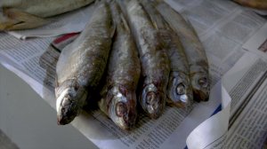 Точка на карте 19.05.2017 Ростов-на-Дону