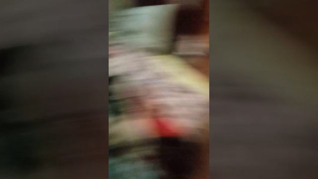 бесплатная подписка! смотреть онлайн