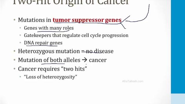 Генетика USMLE - 1. Генетические концепции - 1.Генетические принципы