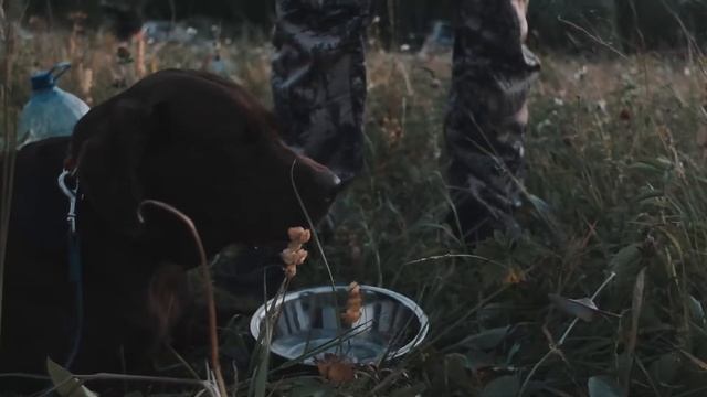 King Hunter - одежда для активного отдыха