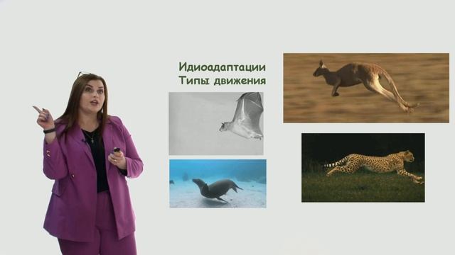 Млекопитающие 7 класс зоология