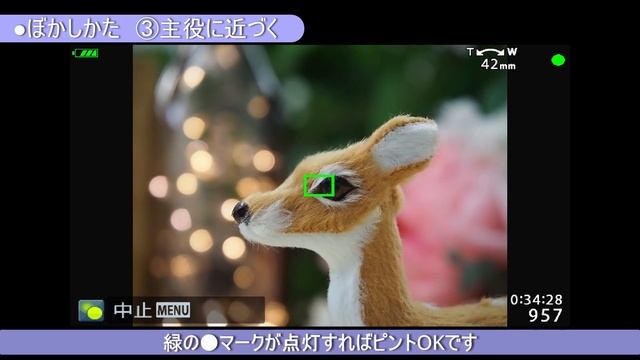 PEN E-PL10 第3話 カンタン操作でおしゃれな写真 【おうちで学ぼうオンライン写真講座 OLYMPUS COLLEGE ONLINE - Shortlesson-】 смотреть онлайн