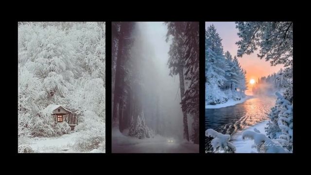 Лес полон чудес смотреть онлайн