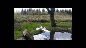 Как образуются реки на самом деле. Ответы у источников. Терраформинг. Один исток для двух рек.Исток