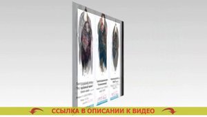 ⚡ ПОЧИНИТЬ ПАВЛОВОПОСАДСКИЙ ПЛАТОК