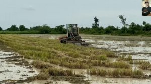 УНИКАЛЬНЫЕ ТРАКТОРА ИНДИИ В РАБОТЕ, ПОДБОРКА #1 / INDIA'S UNIQUE TRACTORS IN WORK COMPILATION