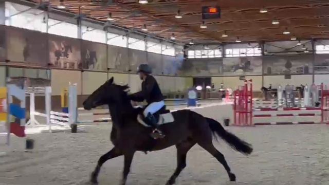 Алиса(12) и Мия -3 юношеский разряд- КСК "Дубрава" 19.03.2023 смотреть онлайн