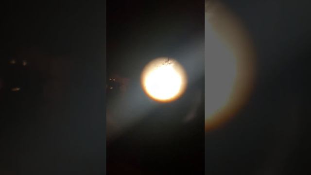 Live video of the moon through my telescope