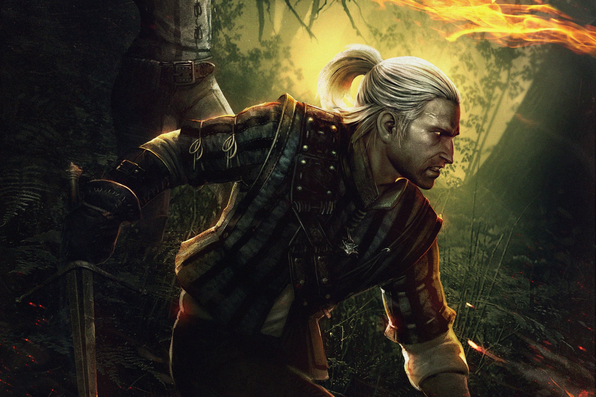 The witcher 2 assassins of kings стим фото 79