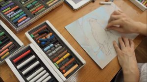 Мастер-класс. Живопись пастелью. Тема: "Зимние птицы"