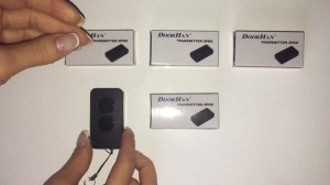 Пульт 2-канальный DoorHan Transmitter 2-pro
