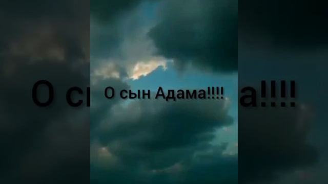 Что нужно сделать чтобы Аллаh простил тебя?