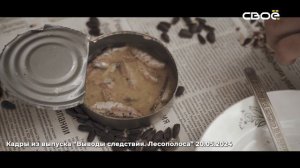 Выводы следствия. Как расследуют преступления минувших лет.