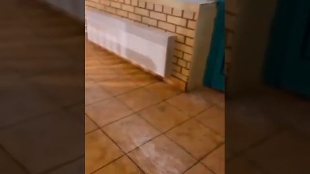 ЛД Хрустальный - Тренировочный процесс + СПА процедуры смотреть онлайн