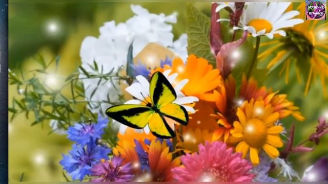 ?СУПЕР ЧУДОВЕ ПРИВІТАННЯ ЧОЛОВІКАМ З ДНЕМ НАРОДЖЕННЯ????? смотреть онлайн