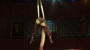 Гимнастка на полотнах