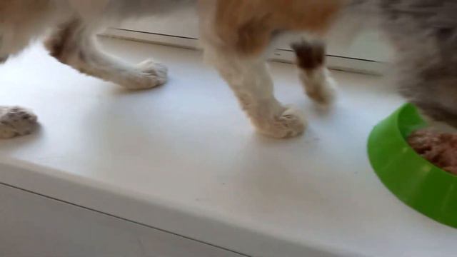 17 июня 2021 г. смотреть онлайн