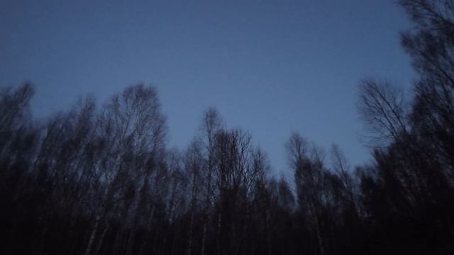 Весенняя охота на вальдшнепа 2 (апрель 2023г.) г. Киров, Калужская область. смотреть онлайн