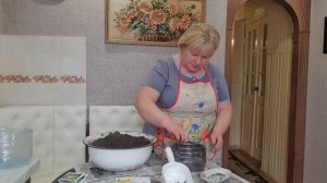 Посадка семян лука Эксибишн на рассаду.