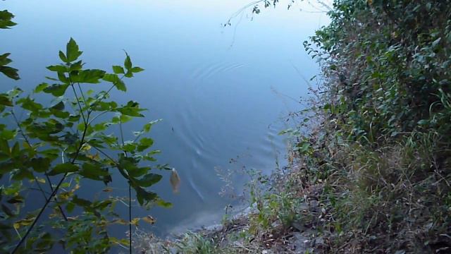 Просто рыбалка. смотреть онлайн