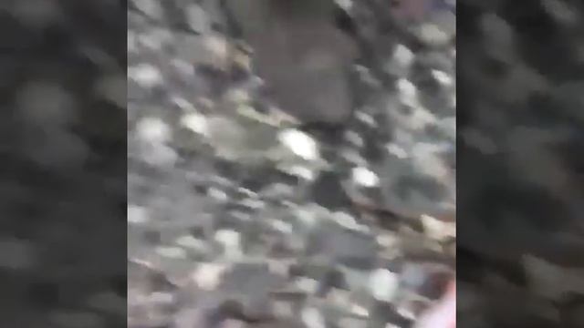 Улов 2018 смотреть онлайн