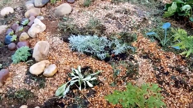 Альпийская горка за 3 часа. Что было и как стало вместо кучи глины смотреть онлайн