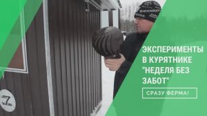 Эксперименты с дефлектором и вентиляцией в курятнике _Неделя без забот_ от Крейзи Ферма.