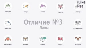 Чем немецкий шпиц отличается от померанского?