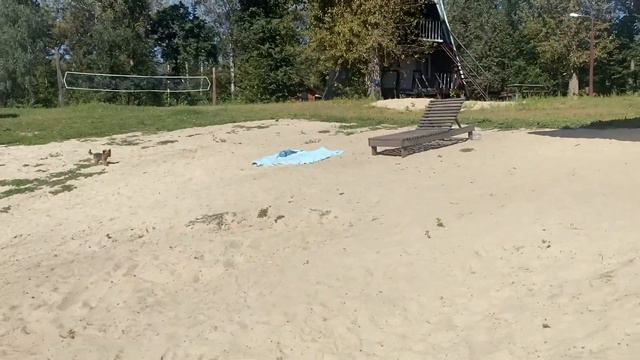 База Шиловка. Река Псёл.Пляж. Второй день отдыха в сентябре!