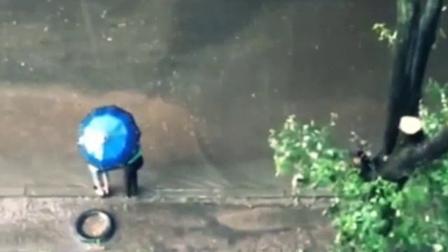 Новости Украинцы показали как нужно передвигаться под дождём (Новости Украина) 26.07.2015 смотреть онлайн