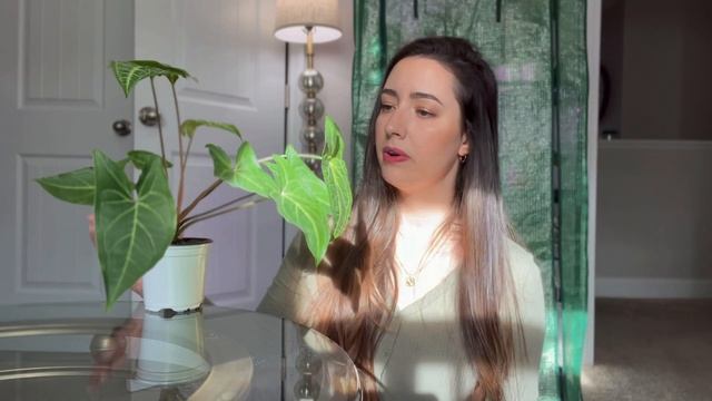 PLANT Favorites 2021 | December Favs | My TOP 10 PLANTS I've been loving! смотреть онлайн